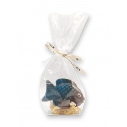 Poisson chocolat lait - packaging -Maison Gaucher Chocolatier