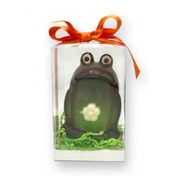 Grenouille en chocolat noir - packaging -Maison Gaucher Chocolatier