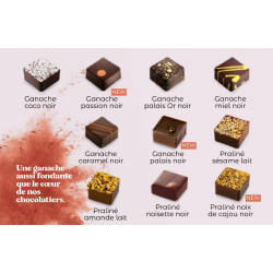 Description des bonbons chocolats de la Maison Gaucher
